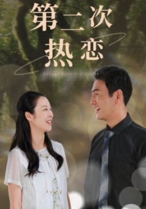 第二次热恋（48集）全集完整版