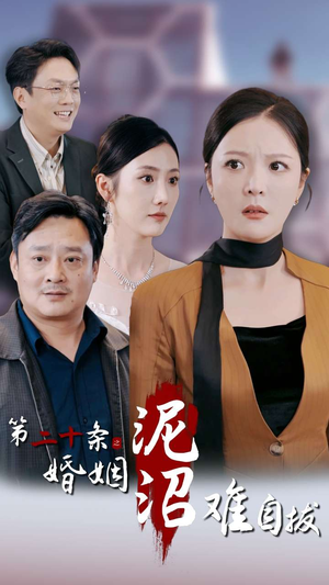 第二十条之婚姻沼泽难自拔（31集）短剧太精彩