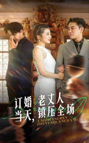 订婚当天，老丈人镇压全场（29集）1-102集