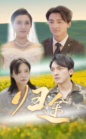 归途（52集）免费短剧全集看