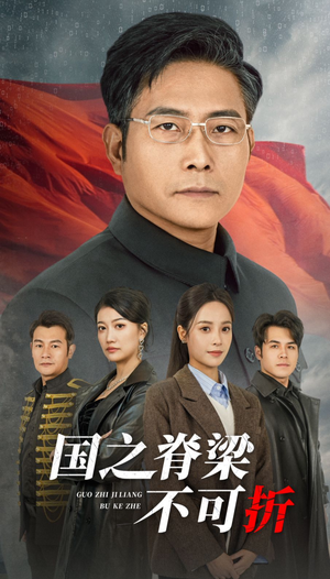 国之脊梁不可折（30集）80到100集