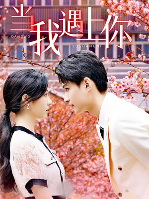 当我遇上你（100集）高清画质免费看