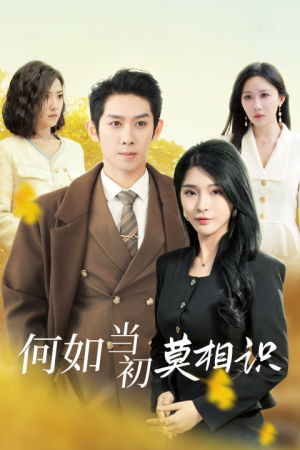 何如当初莫相识（36集）最新上映的短剧