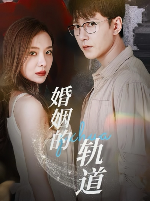 婚姻的轨道（32集）解说文案