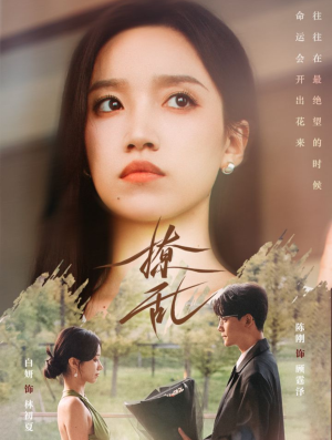 撩乱（65集）短剧热门合集