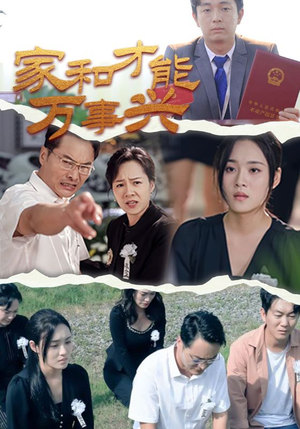 家和才能万事兴（30集）精彩短剧追不停