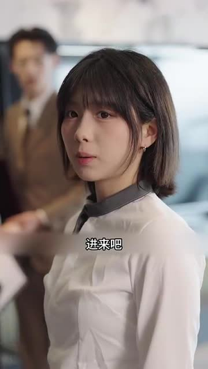 梅花印记（48集）排行榜前十短剧