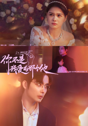 你不是我爱的那个他（54集）推荐热门短剧