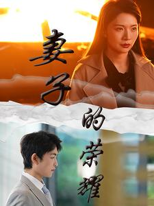 妻子的荣耀（40集）全集一网打尽