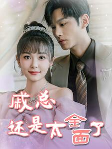 戚总今天追到夫人了么（57集）短剧热门推荐