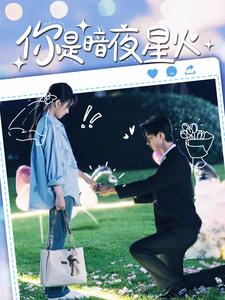 你是暗夜星火（120集）热门短剧免费看