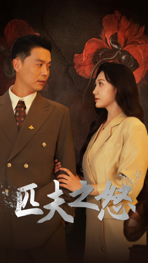 匹夫之怒（48集）全网独播免费看