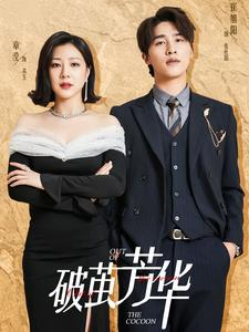 破茧芳华（80集）直接追到结尾