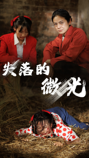 失落的微光（60集）独家资源免费看