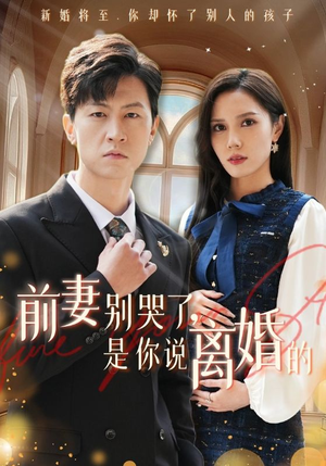 前妻别哭了，是你说离婚的（42集）精彩短剧来袭