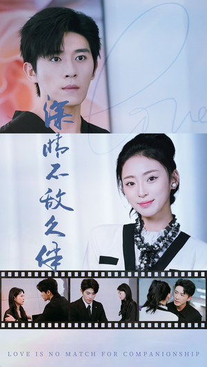 深情不敌久伴（50集）看精彩短剧