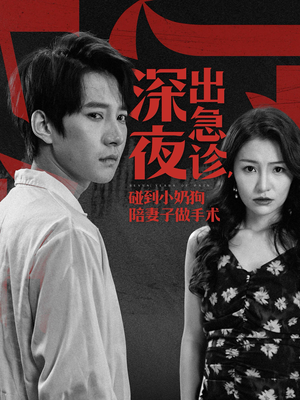 深夜出急诊，碰到小奶狗陪妻子做手术（50集）评价怎么样