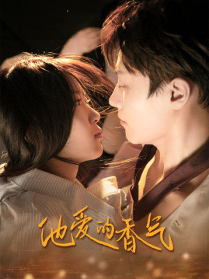 他爱的香气（81集）在线看免费版