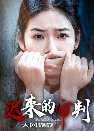 天网恢恢之迟来的审判（31集）小短剧抢先看