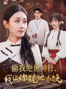 偷我绝世神针，我让你跪地求饶（30集）全集