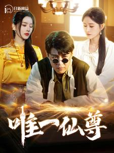 唯一仙尊（100集）短剧全集免费看