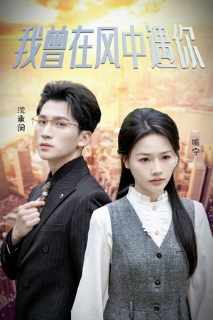 我曾在风中遇你（30集）常回家看看短剧