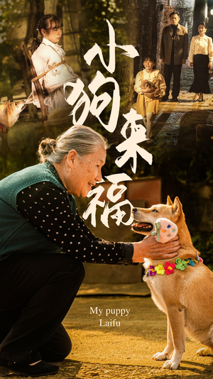 小狗来福（30集）最新短剧推荐