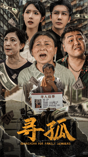 寻孤（78集）精彩的网络短剧