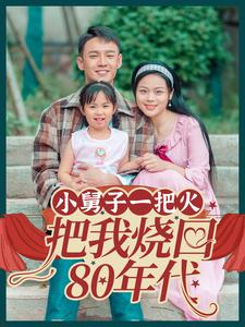 小舅子一把火把我烧回80年代（100集）免费在线看全集