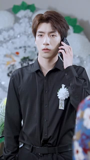 我离世后，妈妈后悔了（34集）观看软件