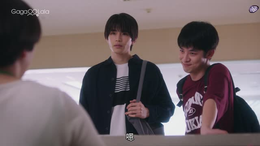 向阳之处必有声（12集）最新上映免费看