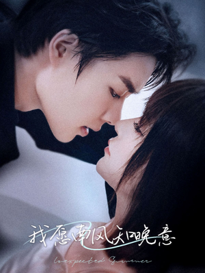 我愿南风知晚意（61集）短剧后续更精彩