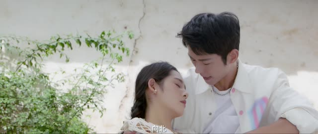 向北的遗憾（20集）免费在线看全集