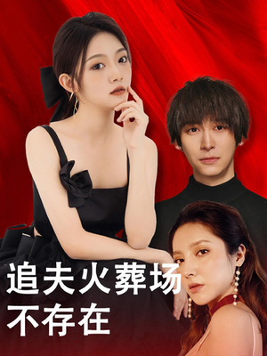 追夫火葬场不存在（100集）上热门短剧