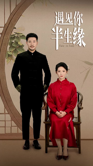 遇见你半生缘（65集）精彩短剧下载
