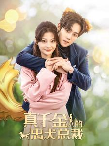 真千金的忠犬总裁（74集）番茄免费短剧