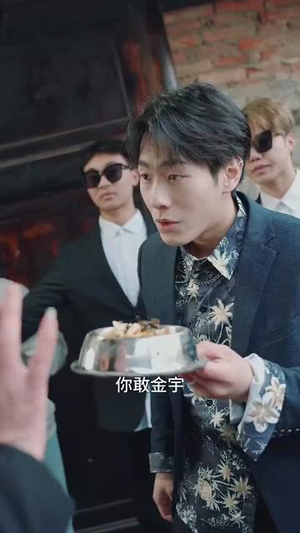 乡村卧龙（88集）全集完整版