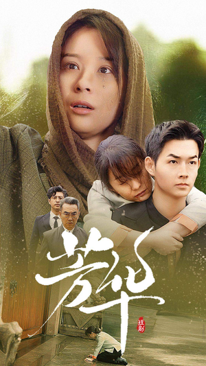 芳华（80集）最热短剧推荐