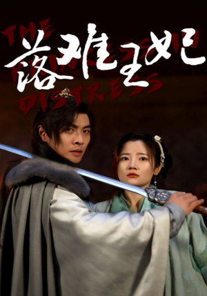 落难王妃（70集）剧情简介