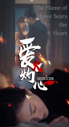 爱火灼心（99集）短剧解说全集