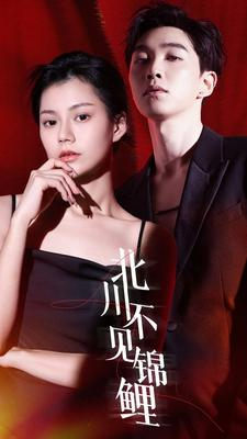 北川不见锦鲤（72集）热门短剧排行榜