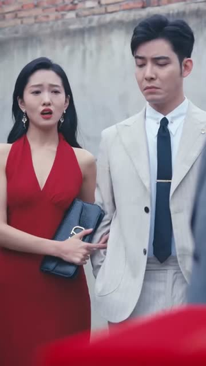 他的荣耀（合集）解说