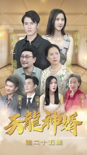 天龙神婿（80集）网络小短剧