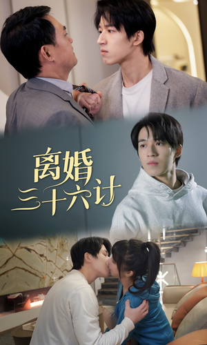 离婚三十六计（96集）男主角是谁