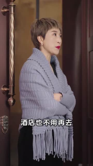 厨神归来（100集）在线观看