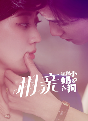 相亲遇到小奶狗（80集）一起看短剧