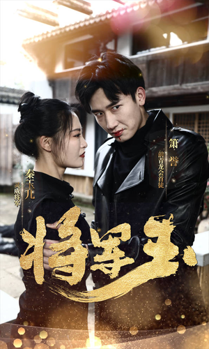 将军玉（85集）热门短剧大全