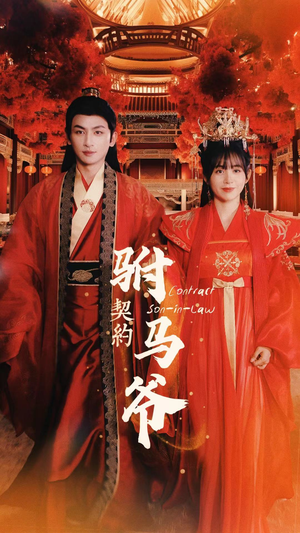契约驸马爷（74集）真的好看吗