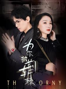 为你披荆斩棘（90集）热播短剧免费看