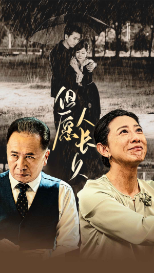 但愿人长久（80集）番茄免费短剧